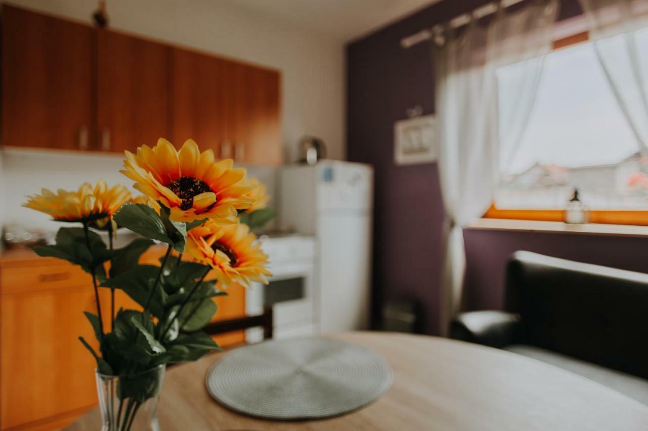 Apartmani Marin Vukovar Bagian luar foto