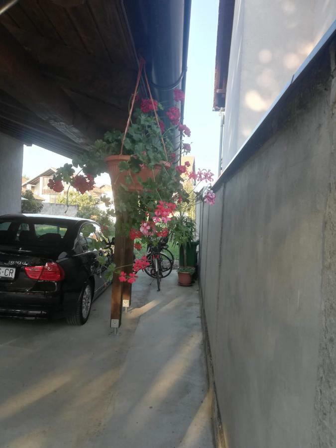 Apartmani Marin Vukovar Bagian luar foto